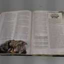 D&D Eberron Rising from the Last War