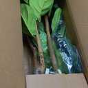 Artificial Fiddle Leaf Fig Tree 5FT, Faux Fig Tree Indoor with Natural Wood Trunk & Realistic Leaves with Moss Pot Fake Ficus Tree Large Faux Floor Plant for Living Room Home Decor, House Plant