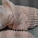 Bedsure Twin/Twin XL Size Comforter - GentleSoft 2 Pieces Double-Side Fleece Fluffy Pink Comforter Set, Cozy Striped Room Decor Aesthetic Luxury Twin Bedding Sets, 1 Pillowcase, 68x88 Inches