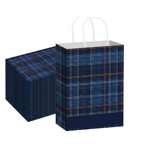Kolldenn 24 Pcs Blue and Green Plaid Gift Bags Bulk with Handles Tartan Plaids Decorations Baby Shower Paper Goodie Bags for Bear Themed Baby Shower Birthday Party Wedding Fiesta Decorations