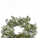 HD 26 in Eucalyptus/Berry Spiral Wreath