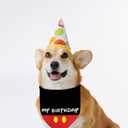 5 x Happy Birthday Dog Bandanas My Birthday Pet Scarfs HBD Party Dogs Kerchief Reversible Adjustable Triangle Bibs Scarf Accessories for Dogs Pets Gifts 2 Pack