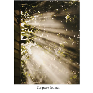 Scripture Study Journal: For expanding