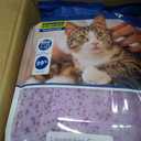 PetSafe ScoopFree Odor Control Crystal Cat Litter, Lavender Scent, 8 Lb Bag, Pack of 3