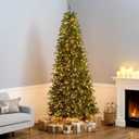 National Tree Company 9 ft Pre-lit Artificial Christmas Tree, Dunhill Fir, 800 Clear Lights, 2,100 Tips, Slim Profile, Includes Stand, Green