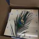 3dRose dc_172148_1 Elegant Peacock Feather on Gold Desk Clock, 6 by 6-Inch