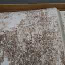 Area Rugs for Living Room: 5x7 Washable Neutral Abstract Rug for Bedroom Large Soft Modern Dining Room Rugs Indoor Floor Low Pile Carpet for Home Office Nursery - Brown Grey