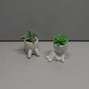 Der Rose 2 Pack Fake Plants for Office Desk Accessories Artificial Succulents Plants for Room Bathroom Home Decor for Women