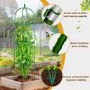 Garden Trellis for Climbing Plants, Tomato Cage, Rose, Flowers, Grape, Pea, Cucumber Trellis, Rustproof Plastic Coated Metal Plant Support for Potted Plants Indoor Outdoor - 1PC Plant Trellis