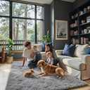 Ultra Soft Rug for Living Room, 70" x 95", Grey Shag Area Rugs for Living Room, Modern Shaggy Carpets for Teens Dorm Nursery Home, Non Slip Indoor Rugs Floor Carpet(70" x 95", Light Grey)