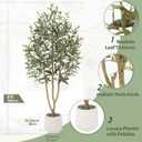 6FT Olive Trees Artificial, Large Faux Olive Tree with White Tall Planter, Faux Tree Indoor with Lush Lifelike Fruits for Living Room Bedroom Balcony Corner Office Home Decor