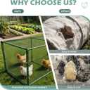 Heavy Duty Chicken Tunnel - 6-Section Portable Chicken Run with PVC Coated Wire Mesh & Steel Frame, Outdoor DIY Chicken Tunnel for Yard, Predator-Proof (1, 141 * 24 * 24 inches)