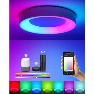 Smart Ceiling Light WiFi, RGB LED Ceiling Light Fixture, 2400LM Flush Mount Lighting Fixture, Works with Alexa Google, 3000K-6500K Low Profile Ceiling Lights for Bedroom, Living Room, 11in
