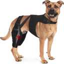 Dog Knee Brace Double Leg Support with Vest - Orthopedic Joint Stabilizer for ACL Tear, Arthritis, Patella Recovery - Adjustable Non-Slip Recovery Brace for Small Middle Large Dogs (Black,XL)