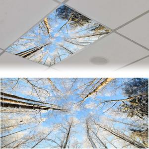 Patelai 4 x 2 Feet Fluorescent Light Cover for Ceiling Classroom Magnetic Cubicle Shade with 10 Magnets Fluorescent Light Filters for School Home Office Drop Lamp Decor(Winter Forest)