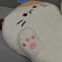 Very Soft Cat Long Hugging Pillow Plush Kitten Kitty Stuffed Animals Milky White 26"