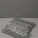 Taylor Digital glass scale