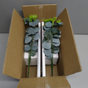 2 Pack Wood Glass Wall Vases and Plants Artificial, Indoor Wood Hanging Vase, Modern Farmhouse Wall Decor for Bathroom Office and Living Room, Farmhouse Sconces Wall Decor (White)