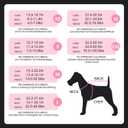 FUAMEY Recovery Suit for Dogs After Surgery,Soft Breathable Dog Bodysuit E-Collar & Cone Alternative Surgical Suit,Male Female Dog Neuter Spay Suits Anti Licking Wounds Onesie Rose Stripes M