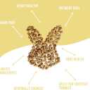 Freeze Dried Dog Treats USA Sourced and Small Batch Made - Human-Grade, All Natural Superfood Dog Snacks Without Artificial Preservatives, Grain Free - 10.5 oz, Variety, 3-Pack