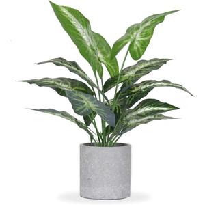 Der Rose JC nateva 16" Small Fake Plants Artificial Tropical Faux Plants Indoor for Office Desk Shelf Bathroom Home Decor