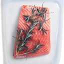 Stasher Silicone Reusable Storage Bag, Half Gallon Bag, Reusable Freezer Bag, Microwave, Dishwasher, Oven Safe, Sous Vide, Premium Lunch Container, Eco Friendly, Food Storage Bags, 64 oz, Clear