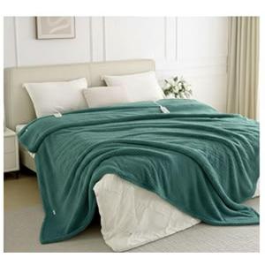 LunaHush Heated Blanket Electric Throw, 50" x 60" Heated Blanket with 8 Heat Levels & 8 Hours Auto Off, Fast Heating Sherpa Blankets Machine Washable with ETL & FCC Certified, Blue Green