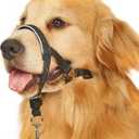 BARKLESS Head Collar for Dogs, No Pull Head Halter for Large Medium Small Dogs, Dog Halter Stops Heavy Pulling, Muzzle Leash with Padded Safety Strap for Walking Training(Black, M)