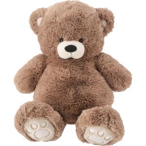 Teddy Bear Cushion