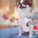 XXS Dog Clothes for Small Dogs: Mesh Doggie Shirts with Cute Patterns, Small Dog Clothes for Girls Fit for 1-2lb Pet T-Shirts, 4 Pack Puppy Clothing for Summer