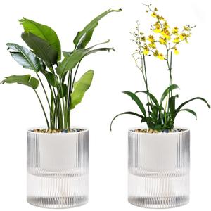 Self Watering Planter,Indoor Plants Pots for 4 Inch,2 Pack Clear White Plastic Flower Pot with Wick Rope,Home Modern Cylindrical Ribbed Decorative Pot for African Violets, Orchid,Aloe.