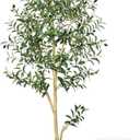 Elkaysonly 6FT Faux Olive Tree Artificial Indoor with Planter and Basket