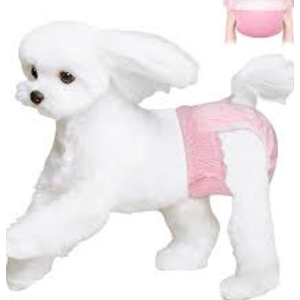 Ambreview Disposable Dog Diapers Female, Just Pull It Up, Doggie Diapers for Female Dogs, Strong Absorbency | Leak Proof, for Dogs in Heat | Elderly | Disabled, XS 30 PCS