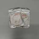 2 x Christmas Tree Decorations, Acrylic Animal Christmas Ornaments, Home Decoration, Party Decoration, Small Animals on The Moon (White Wolf)