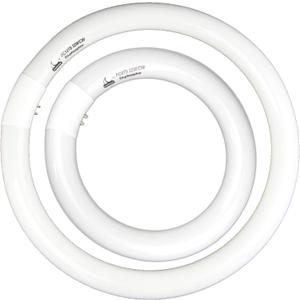 FC8T9/CW 22W and FC12T9/CW 32W Cool White Round Fluorescent Light Bulb Set, 8 inch T9 22 Watts & 12 inch 32 Watts Circular Bulbs Pack, Circline Kitchen and Bath Light Bulbs, CRI 80, 4100K, G10q Prong