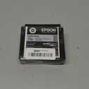 Epson Ultrachrome PRO10 - -Ink - Light Gray (T770920), Standard
