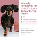 True Coat Short & Smooth Coat Dog Shampoo, 5 in 1 Soothes & Shines with Oat Milk, Coconut Oil & Vitamin E, 16 oz