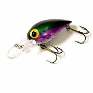 Brad's Wiggler Lazer Rainbow; 3 3/4 in. 2 Pcs