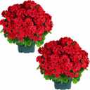 QIANYUN Artificial Geranium Bush  20 Inch Outdoor Potted Artificial Plant for Front Porch, UV Resistant Faux Flower Bush for Garden, Yard & Patio Decor (2 Pack) (Red)
