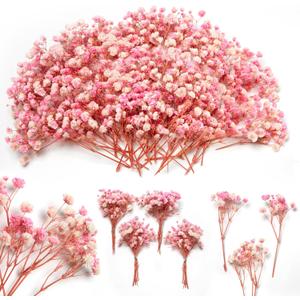 6'' Mini Size Pink & White Dried Babys Breath Flowers 4000+, 70Pcs Natural Gypsophila for DIY Art Crafts, Dry Flowers Bulk for Vase Resin Nails, Valentine's Day Decor, Room Table Wedding Gifts