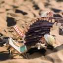 Hermit Crab Hideout & Climbing Toys - Large Size Reptile Climbing Decor for Small or Medium Hermit Crab Habitat (Crabs Climb Bridges)