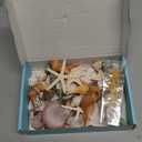 Jangostor Sea Shells Mixed Ocean Seashells, 1.2"-3.5" Various Sizes Beach Seashells and Natural Starfish for Vase Fillers Fish Tank Beach Themed Party Home Wedding Decorations DIY Crafts