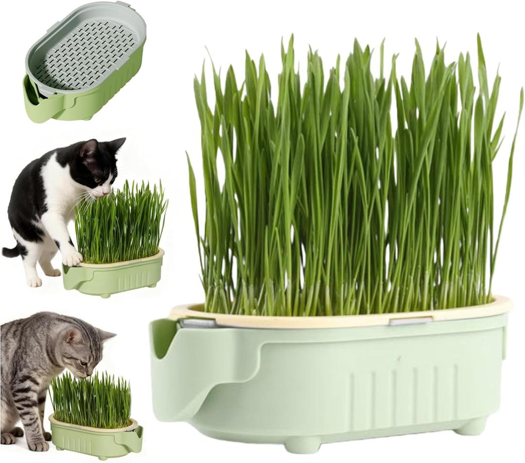 Hydroponic Cat Grass Growing Kit with Germination Tray, Easy-Grow Cat Grass Planter for Indoor Gardening, Soilless Planting Pot for Hairball Control