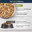 JustFoodForDogs Pantry Fresh Wet Dog Food, Complete Meal or Dog Food Topper, Lamb & Brown Rice Human Grade Dog Food Recipe - 12.5 oz (Pack of 6) (BBD 01/15/28)
