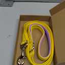 Native Pup Martingale Dog Collar, Adjustable for Small, Medium, Large pet and Puppies Accessories, Cute Colors for Male, Female, Boy, Girl, Puppy (Medium, Bright Yellow)