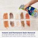 Bissell PET PRO OXY Stain Destroyer for Carpet and Upholstery, 22 oz, 2 pack, 17739