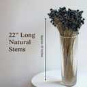 Quality Growers Natural Dried Purple Hill Flowers, 21" Long