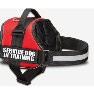 Official Service Dog in Training Vest Harness Bundle Kit. Includes Set of Service Dog , S
