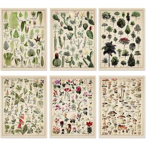 Fainne Set of 6 Plant Poster Vintage Botanical Prints 12 x 16 Inch linen Decorative Wrap Poster Tree Art Picture Vintage Mushroom Floral Nature Decor Cactus Prints