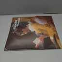 The Reading Woman 2025 Wall Calendar